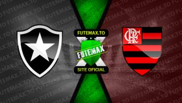 Assistir Botafogo x Flamengo ao vivo 02/09/2023 grátis