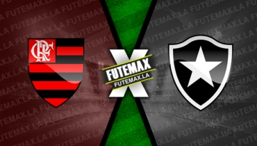 Assistir Flamengo x Botafogo ao vivo online HD 30/04/2023